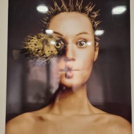 Foto Galeri