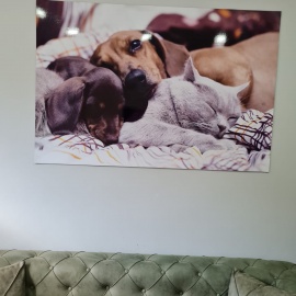 Foto Galeri