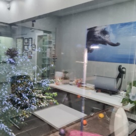 Foto Galeri