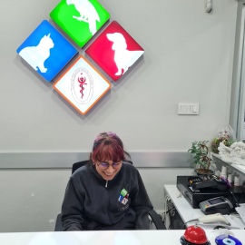Foto Galeri