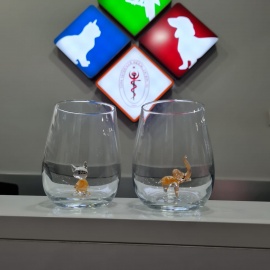 Foto Galeri